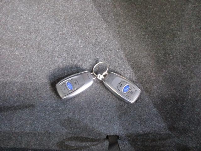 ＢＲＺ ＳＴＩ　スポーツ（66枚目）