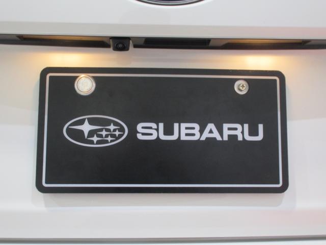 �����J�����ł��I�o�b�N�h�A�̐^�񒆕ӂ�ɑ�������Ă���A�������������Ɖf���o���܂��I