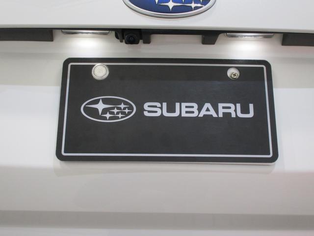 �o�b�N�J�����ł��I�o�b�N�h�A�̐^�񒆕ӂ�ɑ�������Ă���A�������������Ɖf���o���܂��I