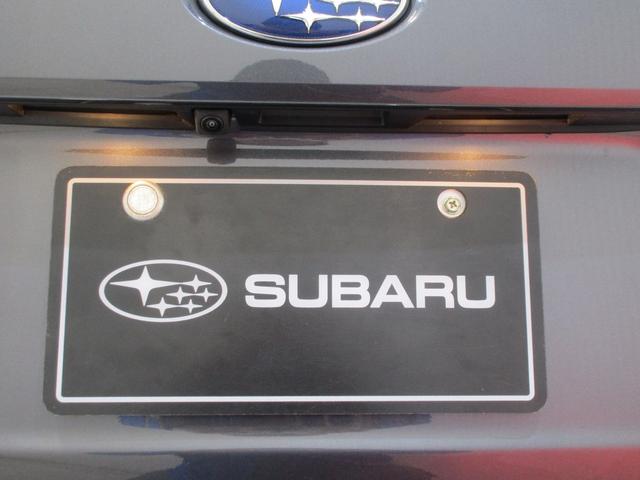 �����J�����ł��I�o�b�N�h�A�̐^�񒆕ӂ�ɑ�������Ă���A�������������Ɖf���o���܂��I