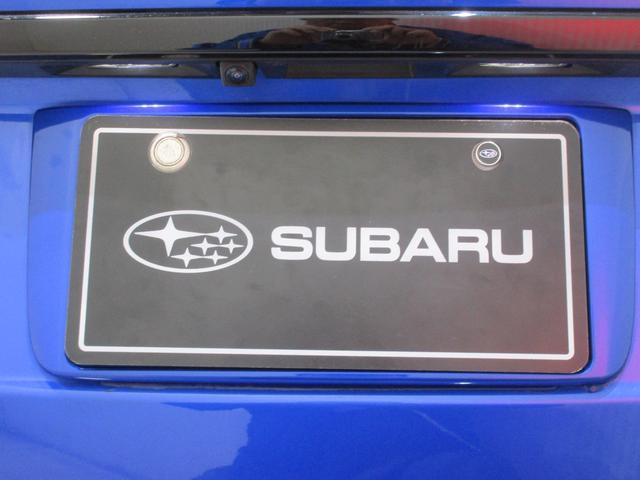 �o�b�N�J�����ł��I�����Q�[�g�̐^�񒆕ӂ�ɑ�������Ă���A�������������Ɖf���o���܂��I