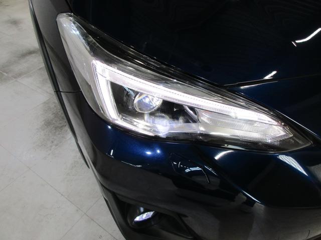 ���邢�k�d�c�w�b�h���C�g�I��Ԃ̎��E���m�ہI���C�g�_���̗����オ�肪�����L�p�ɑO�����Ƃ炵�܂��I