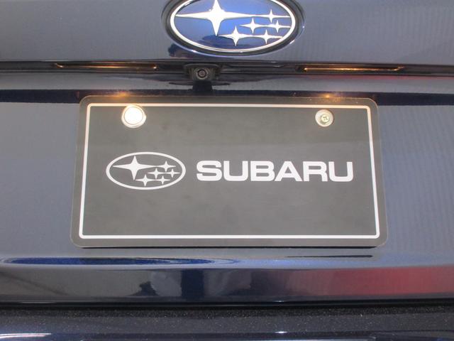 �o�b�N�J�����ł��I�o�b�N�h�A�̐^�񒆕ӂ�ɑ�������Ă���A�������������Ɖf���o���܂��I