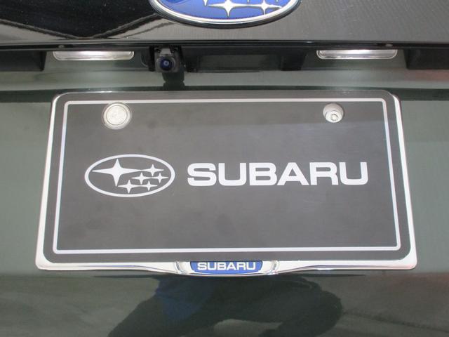 �o�b�N�J�����ł��I�o�b�N�h�A�̐^�񒆕ӂ�ɑ�������Ă���A�������������Ɖf���o���܂��I