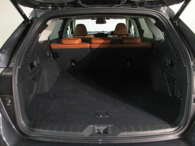 �L�X�Ƃ����X�y�[�X���m�ۂ����׎��ł��I���ו�����������ς߂܂���I