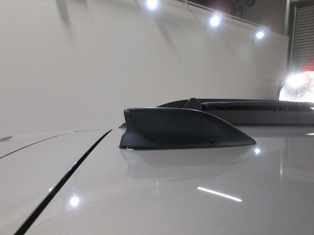 レガシィアウトバック アクティブ×ブラックEX(28枚目)