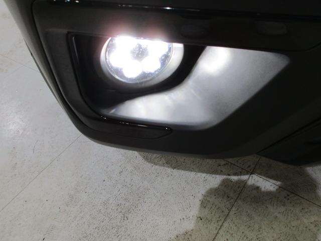 レガシィアウトバック アクティブ×ブラックEX(30枚目)