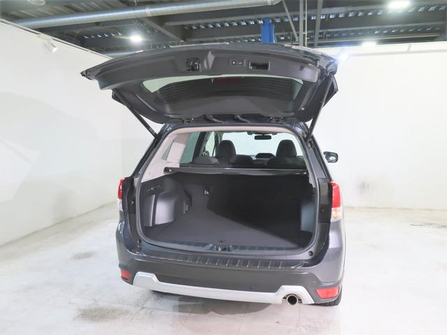 フォレスター Advance EyeSight搭載車(67枚目)