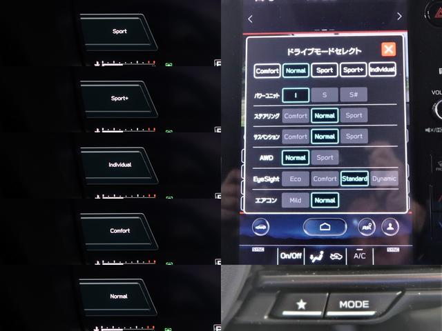 �m�[�}�����[�h����{�ɂS�̑��s���[�h��I���ł��A���D�݂ɍ��킹�ăJ�X�^�}�C�Y�������s���[�h����邱�Ƃ��ł���A�h���C�u���[�h�Z���N�g�I