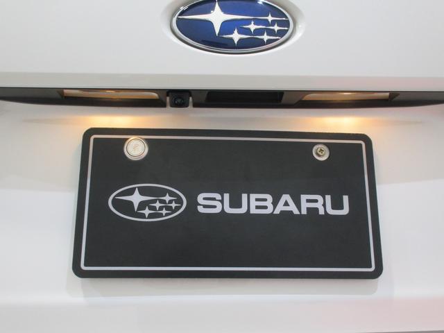 �����J�����ł��I�o�b�N�h�A�̐^�񒆕ӂ�ɑ�������Ă���A�������������Ɖf���o���܂��I