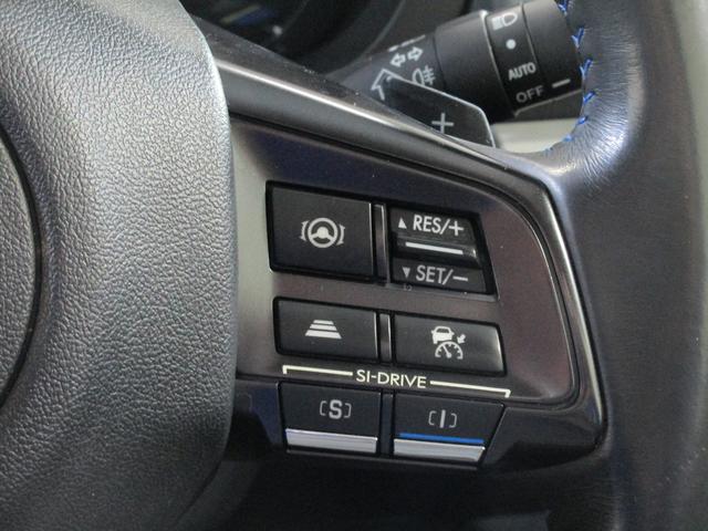 レヴォーグ １．６ＧＴ－Ｓ　ＥｙｅＳｉｇｈｔ　ナビ・バックカメラ（48枚目）