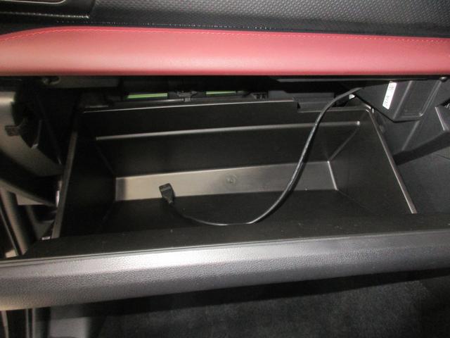 フォレスター STIスポーツ(38枚目)