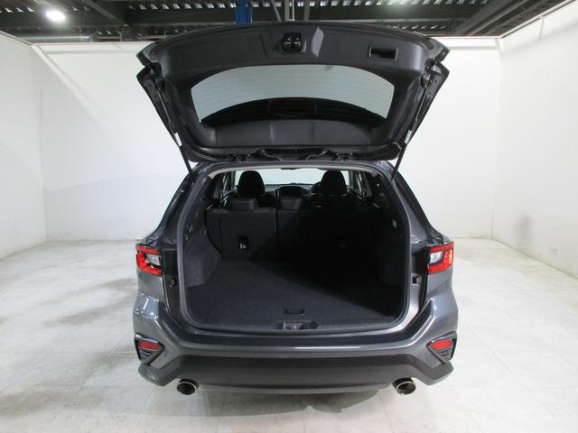 ���A�Q�[�g���J����ƃ��Q�b�W���[�����o��ł��I