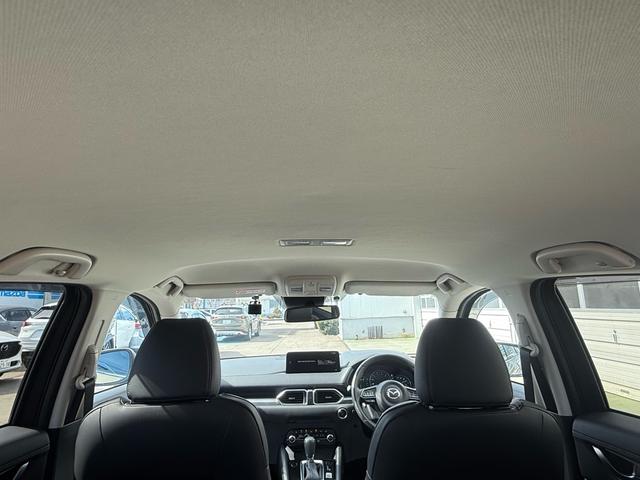 ＣＸ－５ ＸＤ　フィールドジャーニー（12枚目）