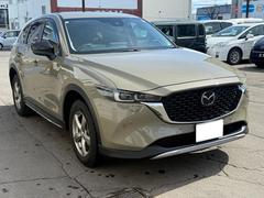 �ãءݣ� �أġ��ե�����ɥ��㡼�ˡ� 0302541A30260319W001 7