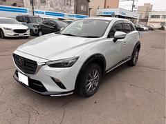 �ãءݣ� �أġ��ץ������ƥ��֡��ӥѥå����� 0302541A30260319W002 6