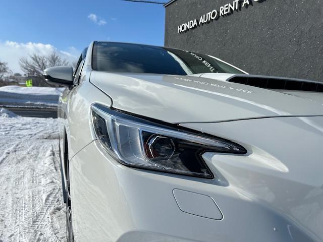 �V���[�v�ȃw�b�h���C�g��