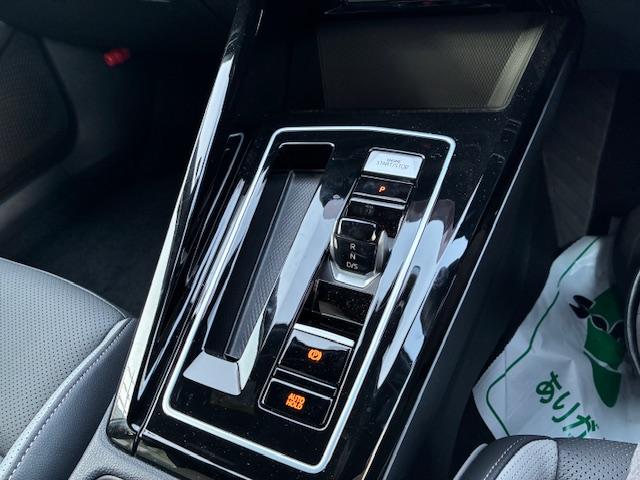 ゴルフヴァリアント ＴＤＩ　Ｒライン（17枚目）