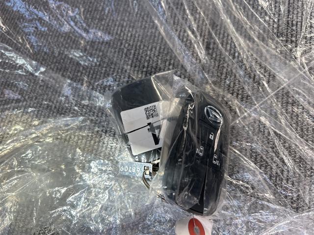 ムーヴキャンバス ストライプスＸ　バックカメラ　両側電動スライドドア　クリアランスソナー　衝突被害軽減システム　オートライト　スマートキー　アイドリングストップ　電動格納ミラー　ベンチシート　ＣＶＴ　ＡＢＳ　ＥＳＣ　エアコン（9枚目）