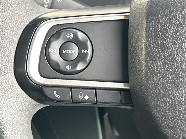 タフト Ｘ　クリアランスソナー　衝突被害軽減システム　オートライト　スマートキー　アイドリングストップ　電動格納ミラー　サンルーフ　ＣＶＴ　ＡＢＳ　ＥＳＣ　ＣＤ　ミュージックプレイヤー接続可　エアコン（12枚目）