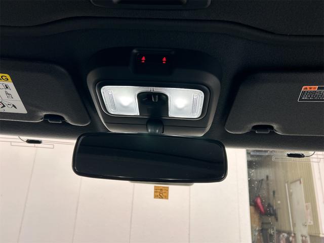 タフト Ｘ　クリアランスソナー　衝突被害軽減システム　オートライト　スマートキー　アイドリングストップ　電動格納ミラー　サンルーフ　ＣＶＴ　ＡＢＳ　ＥＳＣ　ＣＤ　ミュージックプレイヤー接続可　エアコン（49枚目）