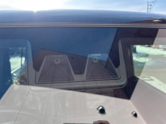 タフト Ｇ　バックカメラ　ナビ　クリアランスソナー　衝突被害軽減システム　オートライト　スマートキー　アイドリングストップ　電動格納ミラー　シートヒーター　サンルーフ　ＣＶＴ　ＡＢＳ　ＥＳＣ　アルミホイール（64枚目）