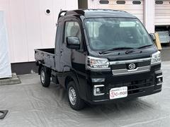 ������١��¼֤�������������� 7