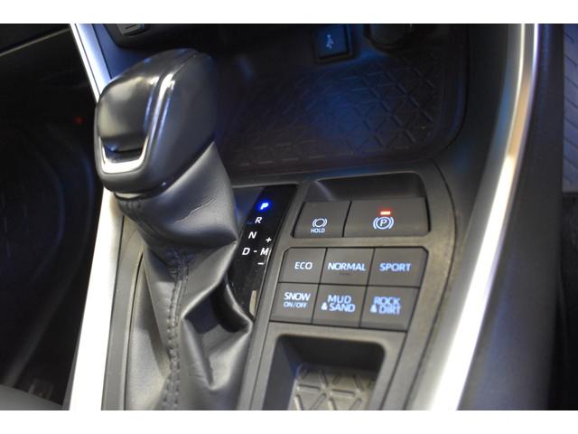 ＲＡＶ４ Ｇ　４ＷＤ　ディスプレイオーディオ　ライブビューカメラ　パワーバックドア　レザーシート運転席パワーシート　シートヒーター　ハンドルウォーマー　クルーズコントロールトヨタセーフティーセンス　ＢＳＭ（10枚目）