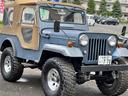 MITSUBISHI JEEP