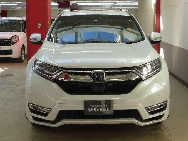EX・マスターピース 4WD メモリーナビ リアカメラ ETC(18枚目)