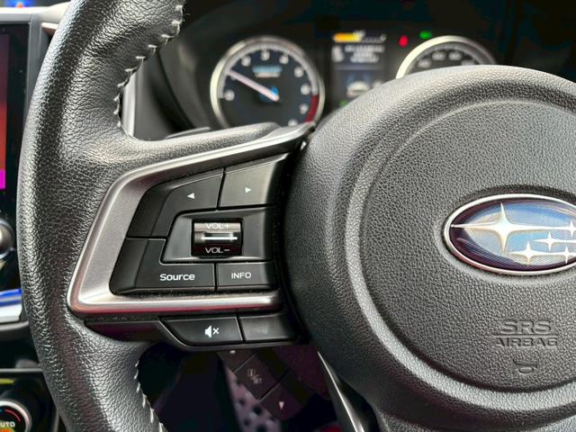 フォレスター アドバンス　純正ナビ・ＴＶ・Ｂカメラ／シートヒーター／ステアリングヒーター／パワーシート／フロント・サイドビューモニター／ビルトインＥＴＣ／ハーフレザー／アイサイト／クルーズコントロール（21枚目）