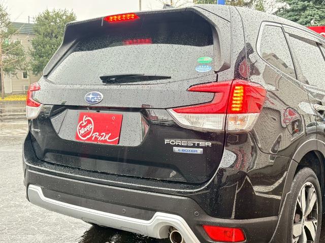 フォレスター アドバンス　純正ナビ・ＴＶ・Ｂカメラ／シートヒーター／ステアリングヒーター／パワーシート／フロント・サイドビューモニター／ビルトインＥＴＣ／ハーフレザー／アイサイト／クルーズコントロール（45枚目）