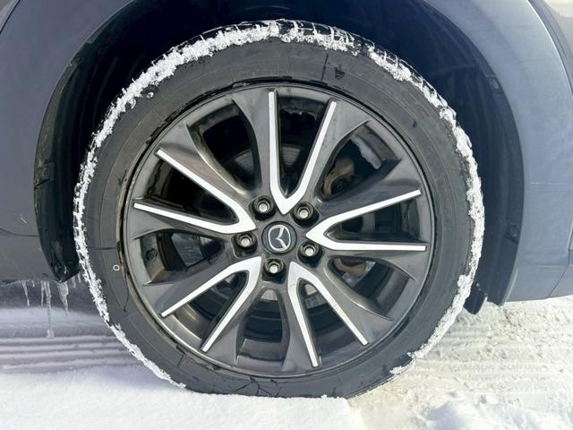 ���J���~���ĂĂ����v�������͋x�݂��I�Ԃ����ɍs�����I�Ǝv���Ă��J���~�����肵�Ă�ƍ������Ⴂ�܂���ˁB���X�͉����ł��Ԃ����鎖���o���܂��B����̓����J�̓����A���ł����ɗ��Ă��������ˁB