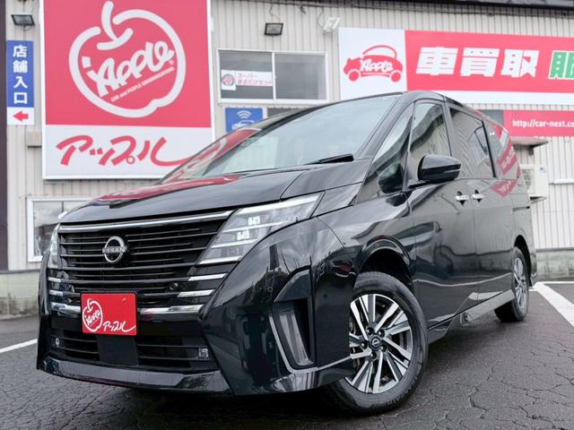 セレナ ハイウェイスターＶ　４ＷＤ／純正ナビ・ＴＶ／アラウンドビューモニター／プロパイロット／デジタルインナーミラー／両側電動スライドドア／置くだけ充電／シートヒーター／ステアリングヒーター／ＥＴＣ２．０／（25枚目）