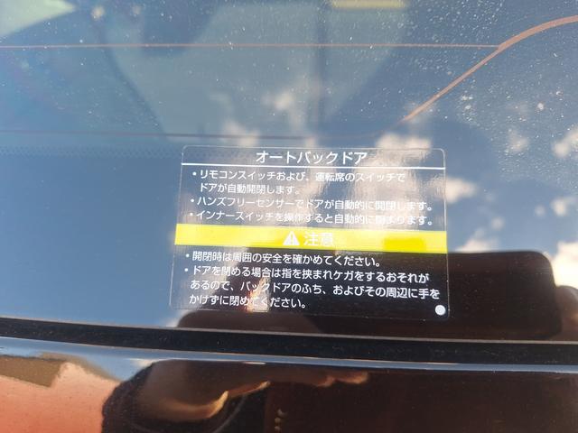 エクストレイル G e-4ORCE(47枚目)