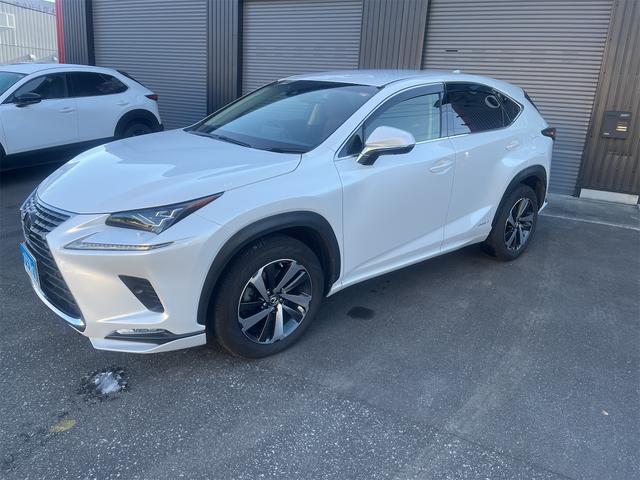 NX NX300h バージョンL カラーヘッドアップディスプレイ ブラインドスポットモニター 純正ナビTV 純正エンジンスターター(7枚目)