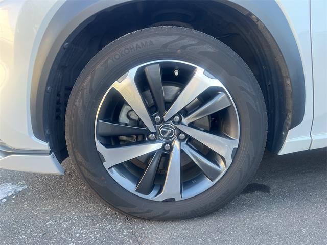 NX NX300h バージョンL カラーヘッドアップディスプレイ ブラインドスポットモニター 純正ナビTV 純正エンジンスターター(10枚目)