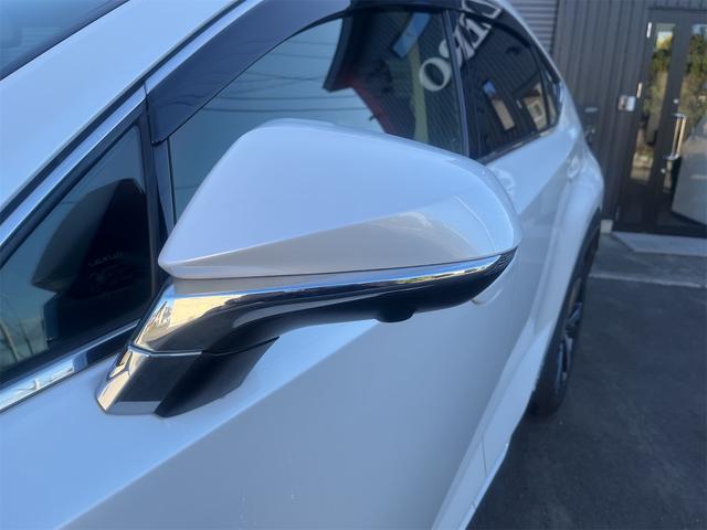 NX NX300h バージョンL カラーヘッドアップディスプレイ ブラインドスポットモニター 純正ナビTV 純正エンジンスターター(12枚目)