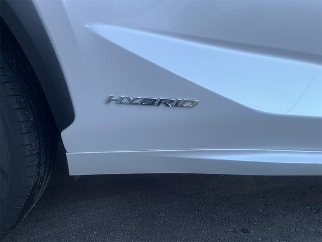 NX NX300h バージョンL カラーヘッドアップディスプレイ ブラインドスポットモニター 純正ナビTV 純正エンジンスターター(15枚目)