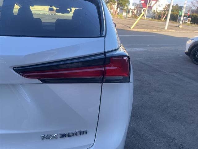 NX NX300h バージョンL カラーヘッドアップディスプレイ ブラインドスポットモニター 純正ナビTV 純正エンジンスターター(16枚目)