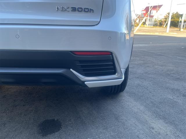 NX NX300h バージョンL カラーヘッドアップディスプレイ ブラインドスポットモニター 純正ナビTV 純正エンジンスターター(18枚目)