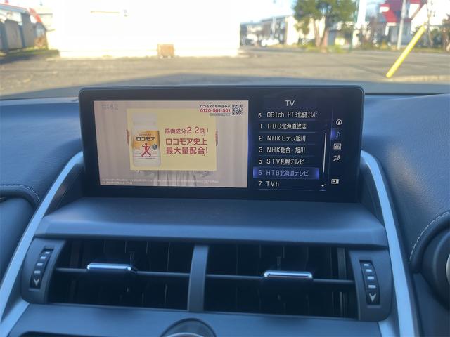 NX NX300h バージョンL カラーヘッドアップディスプレイ ブラインドスポットモニター 純正ナビTV 純正エンジンスターター(20枚目)