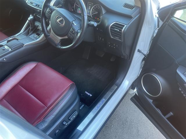 NX NX300h バージョンL カラーヘッドアップディスプレイ ブラインドスポットモニター 純正ナビTV 純正エンジンスターター(32枚目)