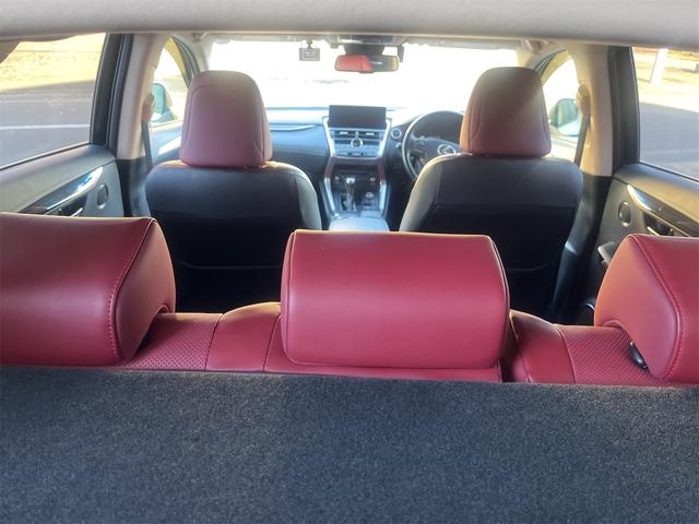 NX NX300h バージョンL カラーヘッドアップディスプレイ ブラインドスポットモニター 純正ナビTV 純正エンジンスターター(41枚目)