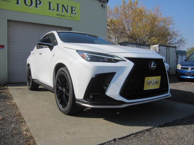 NX NX350 Fスポーツ 4WD ワンオーナー 純正ナビ 地デジテレビ ブルートゥース バック全周囲カメラ ドライブレコーダー エンジンスターター ETC 革シート LEDヘッドライト 20インチアルミ スマートキー(30枚目)