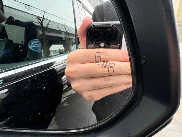 アルファードハイブリッド Ｚ　４ＷＤ　ドライブレコーダー　全周囲カメラ　ナビ　クリアランスソナー　オートクルーズコントロール　レーンアシスト　衝突被害軽減システム　両側電動スライドドア　オートマチックハイビーム　オートライト（15枚目）