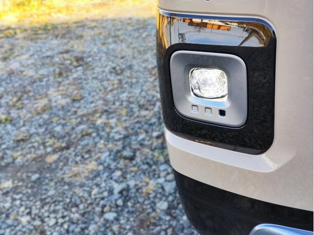 デリカミニ T プレミアム デリマルパッケージ 4WD(5枚目)