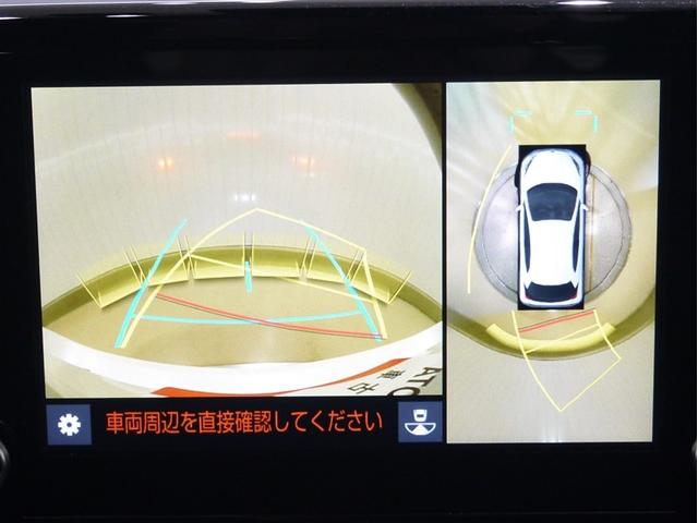 �p�m���~�b�N�r���[���j�^�[