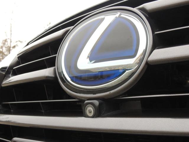 NX300h バージョンL(13枚目)