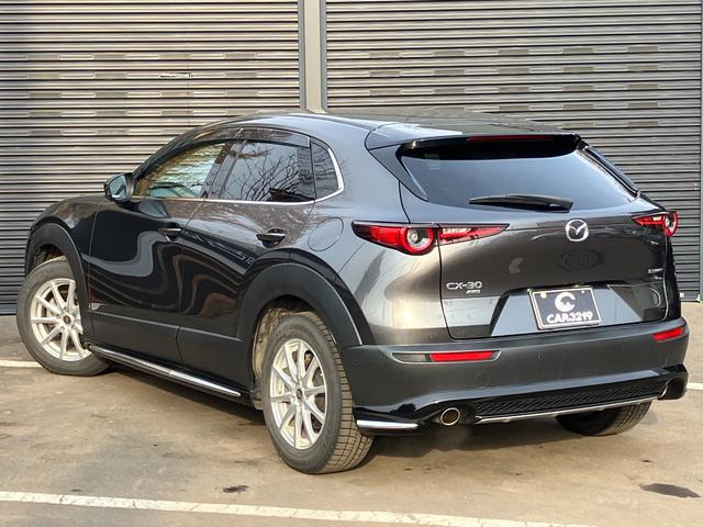 ＣＸ－３０ ２０Ｓ　プロアクティブ　ツーリングセレクション　４ＷＤ　３６０°ビューモニター　ＢＯＳＥ　マツコネ　地デジＴＶ　パワーバックドア　パワーシート　シートヒーター　クルーズコントロール　オートハイビーム　アイドリングストップ　ドラレコ　夏冬タイヤ（9枚目）